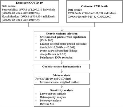 COVID-19 is associated with the risk of cardiovascular disease death: A two-sample Mendelian randomization study